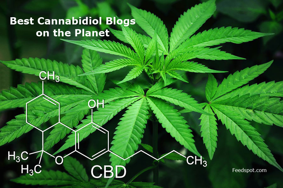 Cannabis Blog